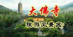 操欧美嫩逼中国浙江-新昌大佛寺旅游风景区